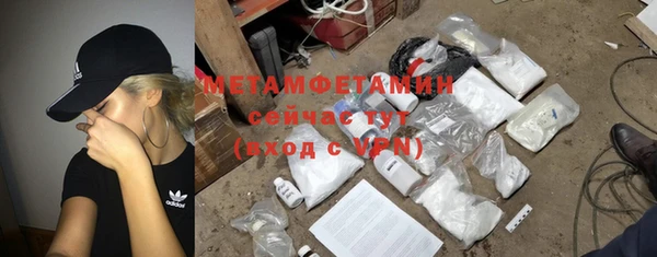 крисы Горняк