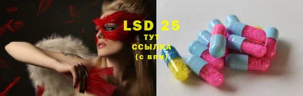 спиды Вязьма