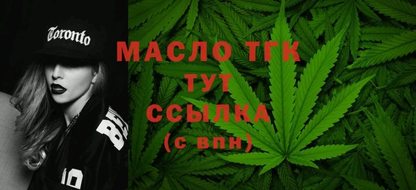 крисы Горняк