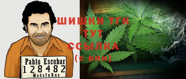 крисы Горняк