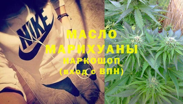 крисы Горняк